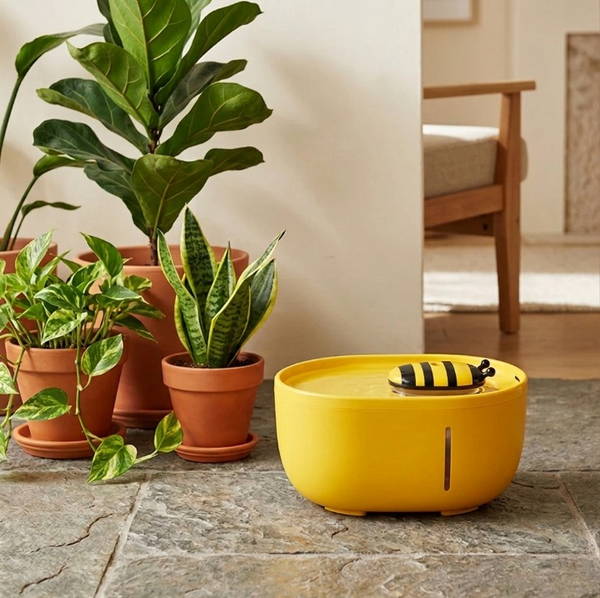 foto negozio 3.png__PID:a5877626-8cf5-4302-b703-1fd21316ccde